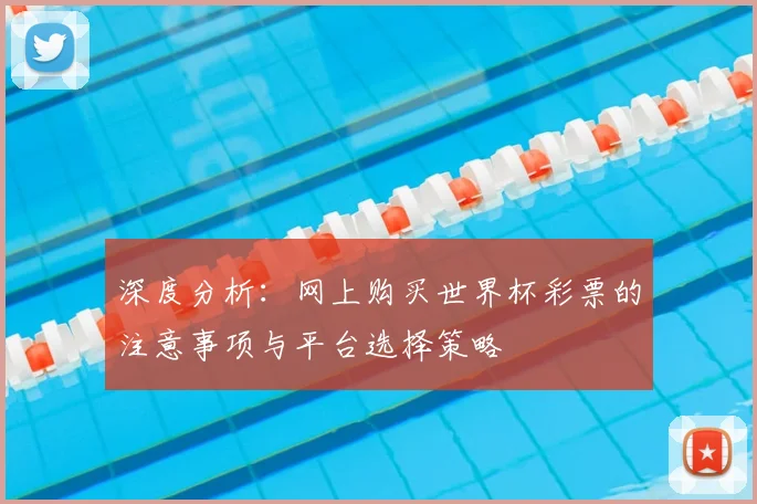 深度分析：网上购买世界杯彩票的注意事项与平台选择策略