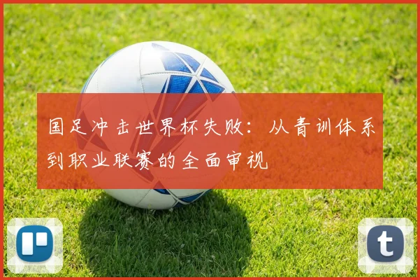 国足冲击世界杯失败：从青训体系到职业联赛的全面审视