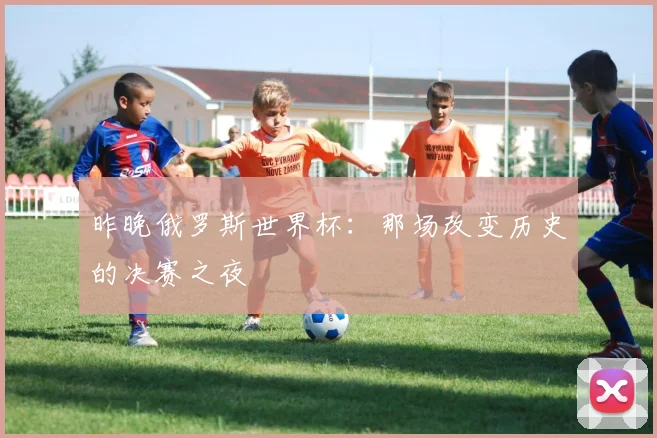昨晚俄罗斯世界杯：那场改变历史的决赛之夜