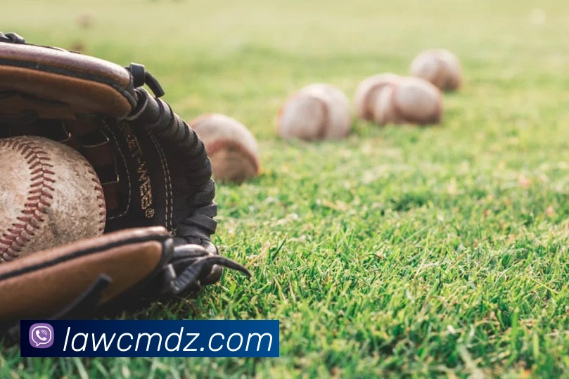 开云手机在线登录官网服务体系